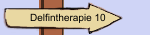 Delfintherapie 10